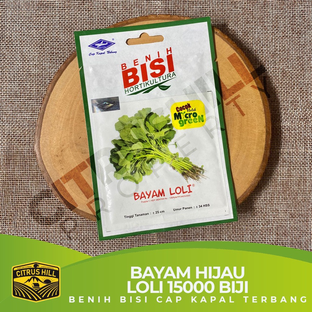 Jual Benih Bibit Bayam Hijau Loli Bisi Cap Kapal Terbang Biji