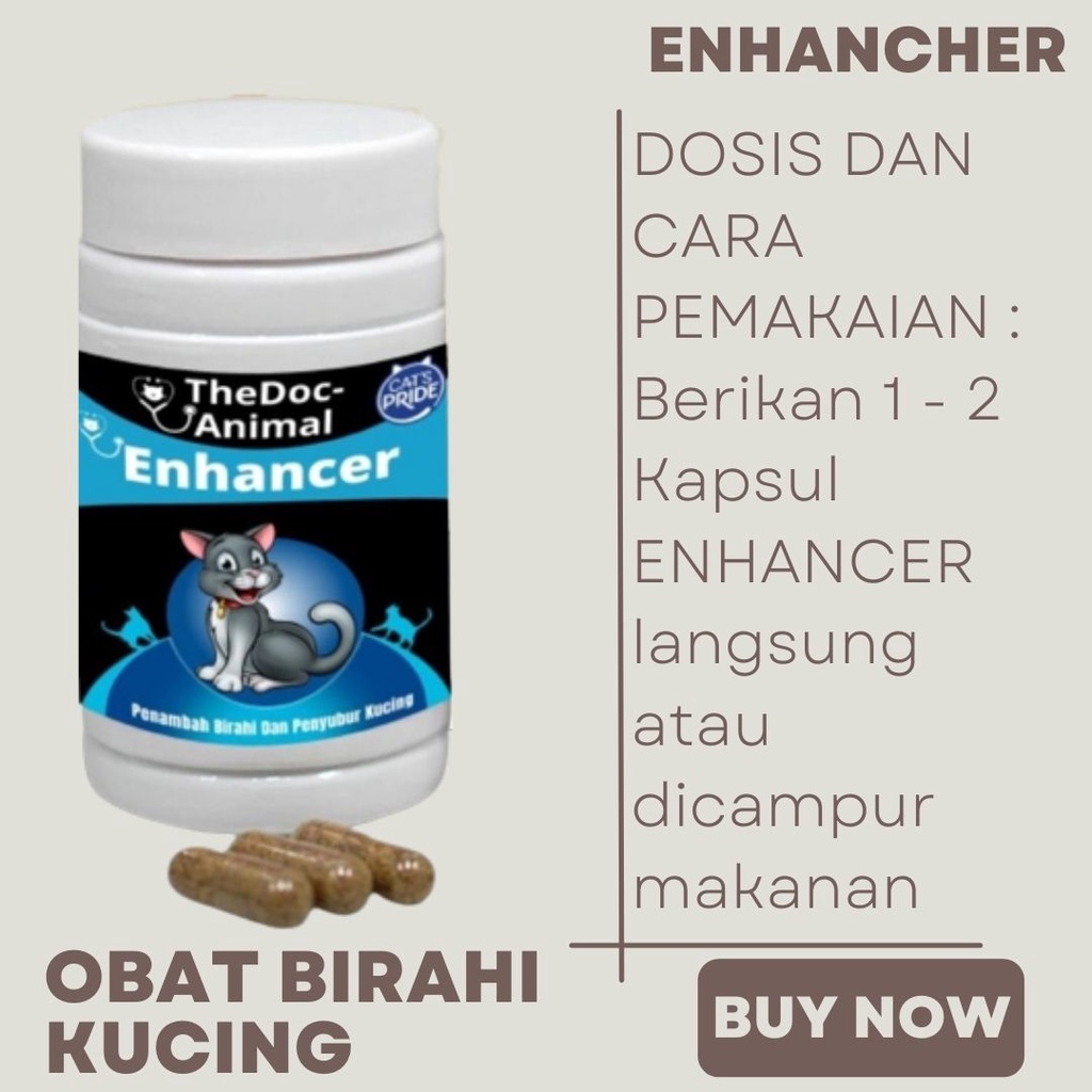 Obat Birahi dan Penyuburan Kucing FEZONE