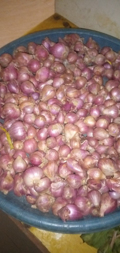 Bawang Merah Lokal 1kg