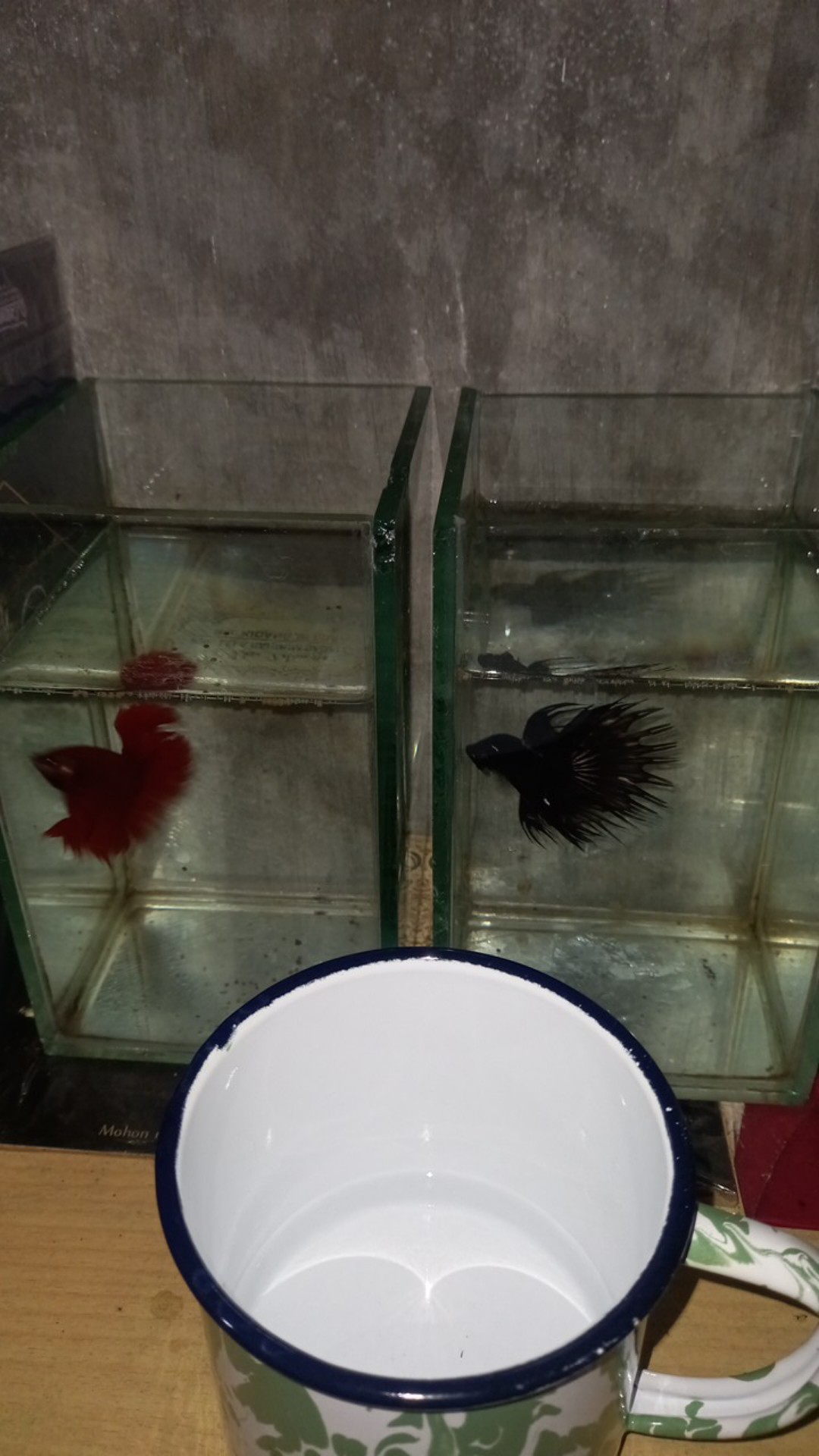 Mug Enamel Jadoel / Mug Blurik / Cangkir Jokowi