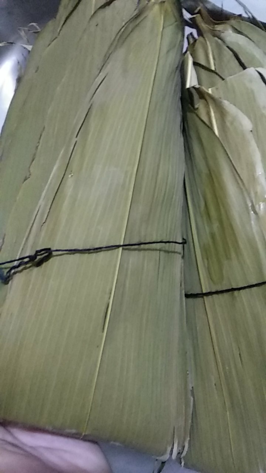 100 Lembar Daun Bambu Bungkus Bacang Bakcang