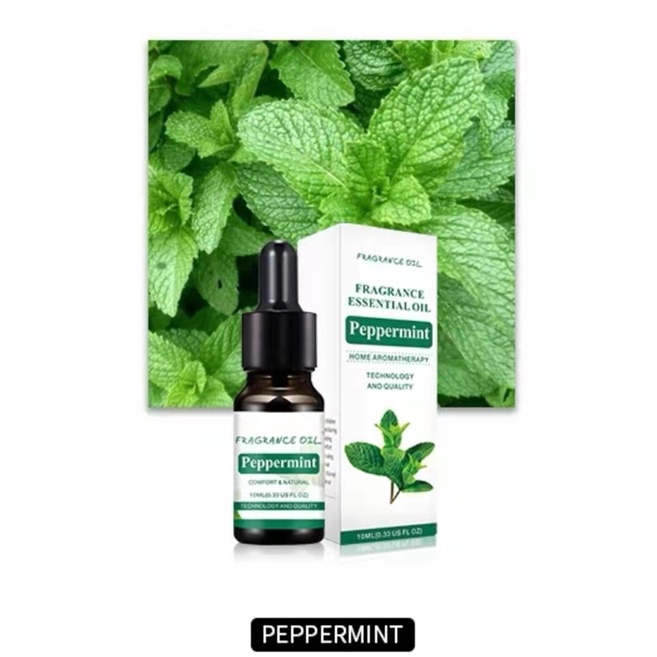 Humidifier Diffuser air aromatherapy 260 ml with 7 colour LED Lamp + Oil Aromatherapy - Pelembab ruangan-TETES PEPPERMINT