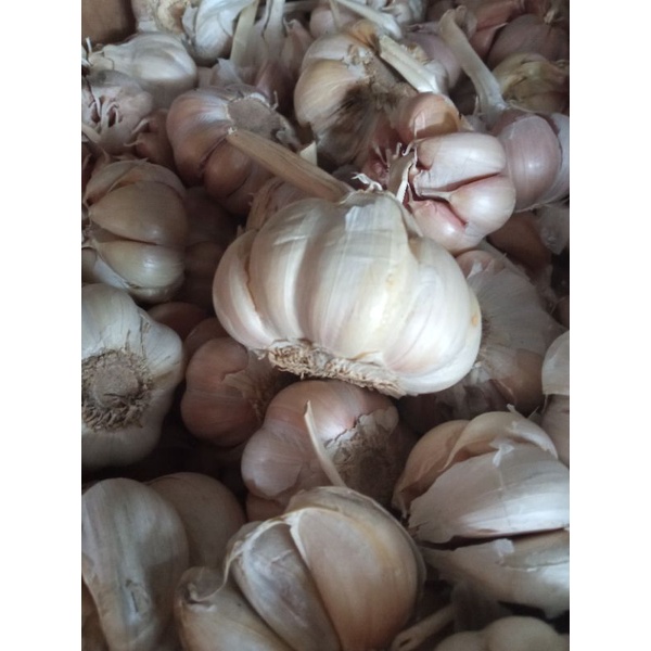 

Bawang Putih Holan 250g