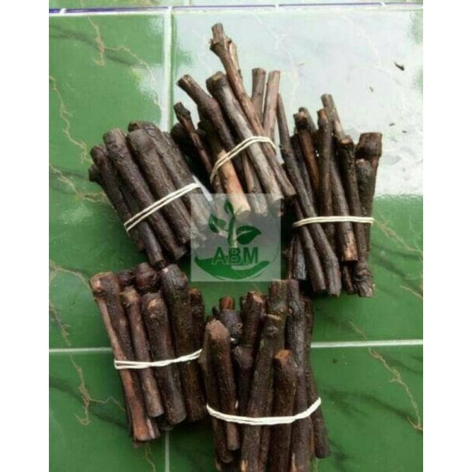 JUAL 12 BIBIT BATANG STEK ANGGUR MERAH ISABELLA KEKINIAN♨