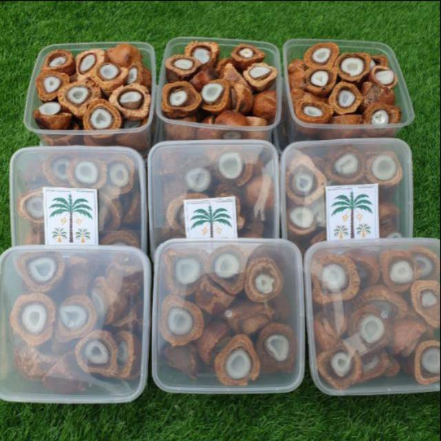 

Buah Zuriat belah