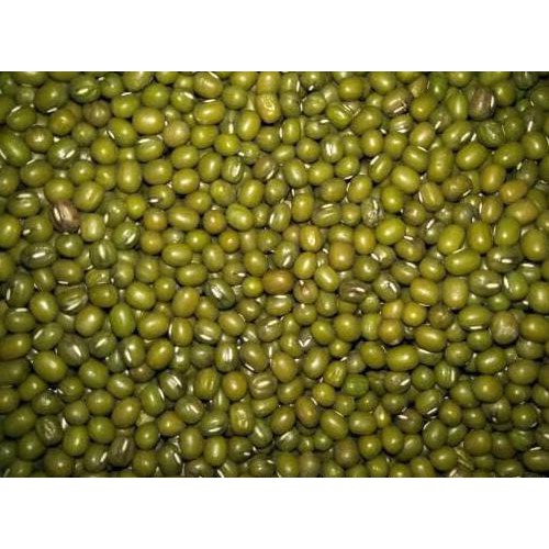 

MURAH PROMO kacang hijau bening