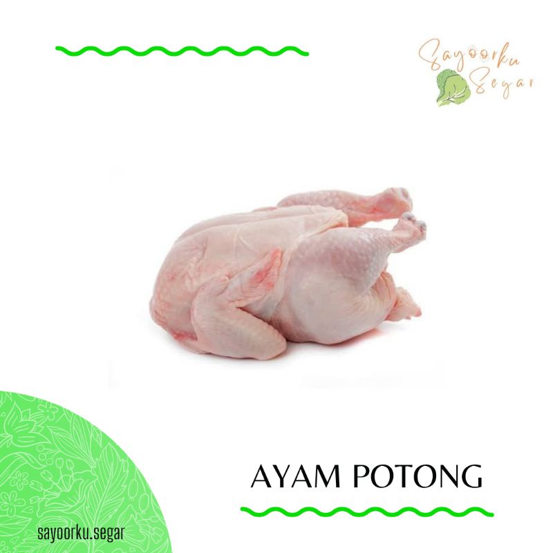 

KIRIM BESOK Ayam Broiler / Ayam Potong / Dada / Paha / Sayap / Hati ampela / Ceker / kulit ayam / usus / paha