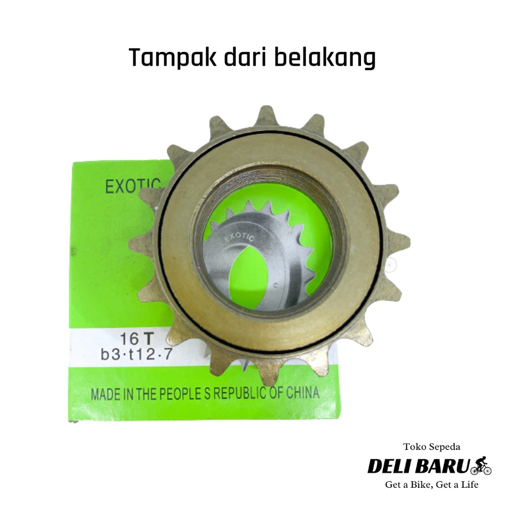 Exotic Freewheel gir belakang 16T sepeda anak