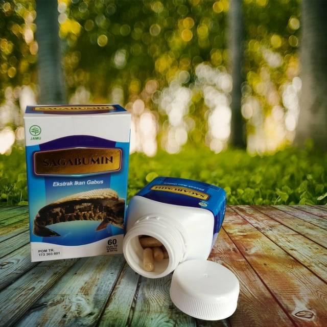 Kapsul Ikan Gabus - Albumin