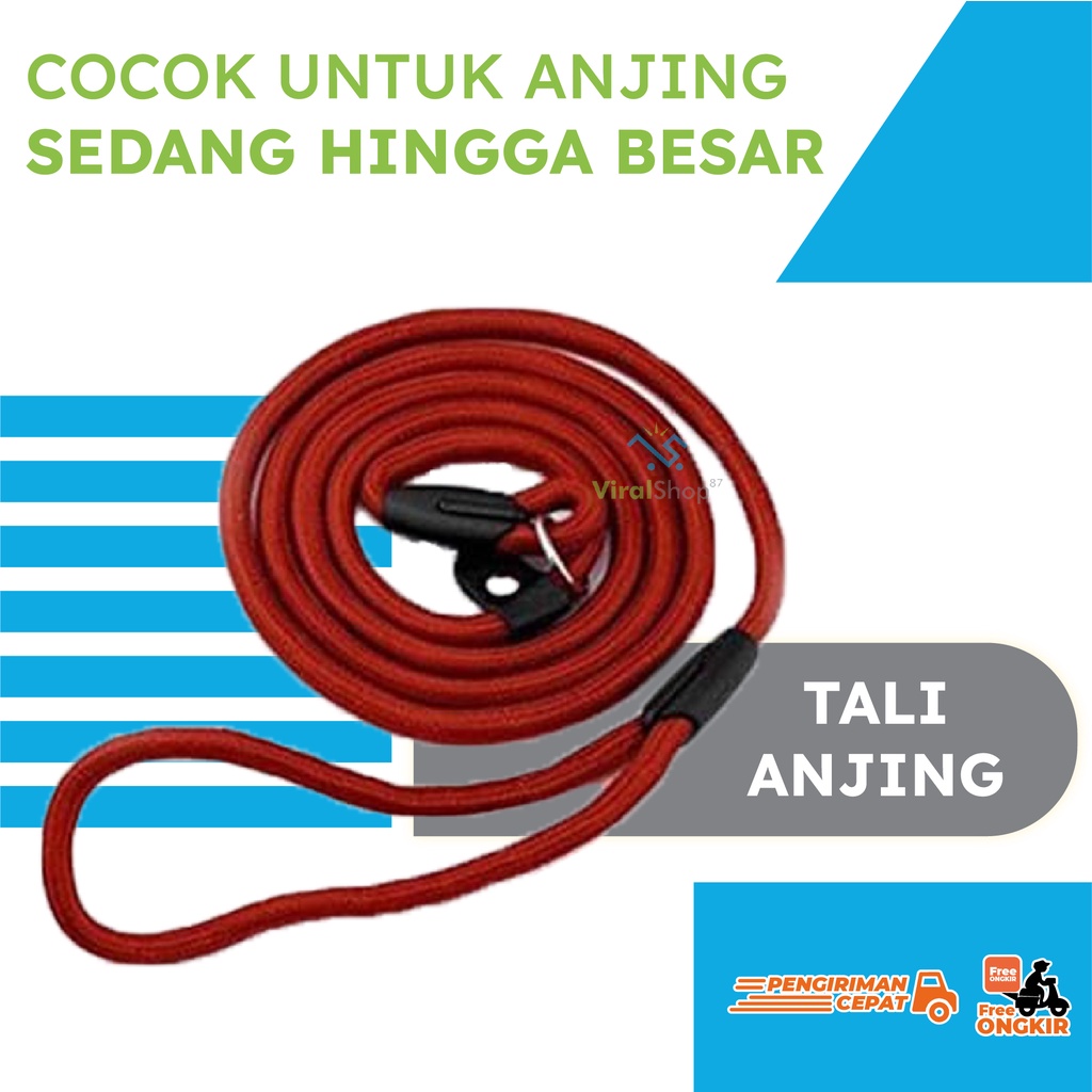 BESAR Slip Lead Cesar Milan Tali Tuntun Anjing Nylon Dog Leash