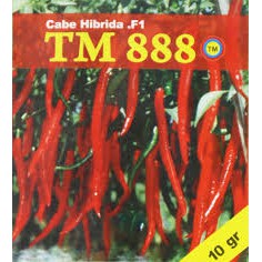 Bibit Cabai Tani Murni TM 888 Cabe Hibrida F1 - 10 gram