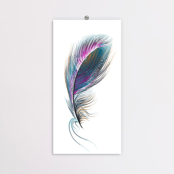 Hiasan Dinding Dekorasi Poster Bulu Colorful Feather CFH04 15x30 cm
