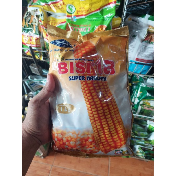 Benih Bibit Tanaman Jagung Super Hibrida BISI -18(1kg)