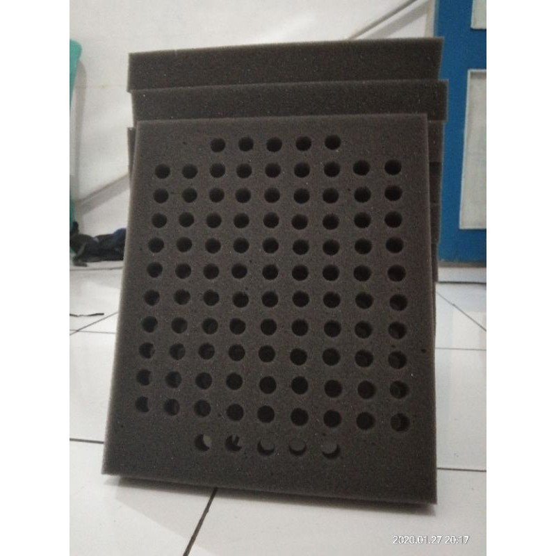 busa telur walet 100