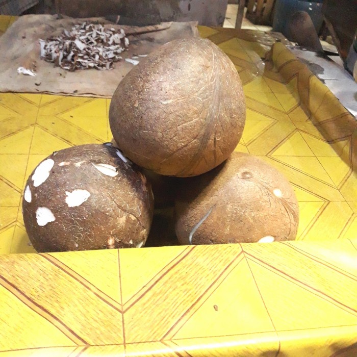 

Kelapa Parut 1 Butir