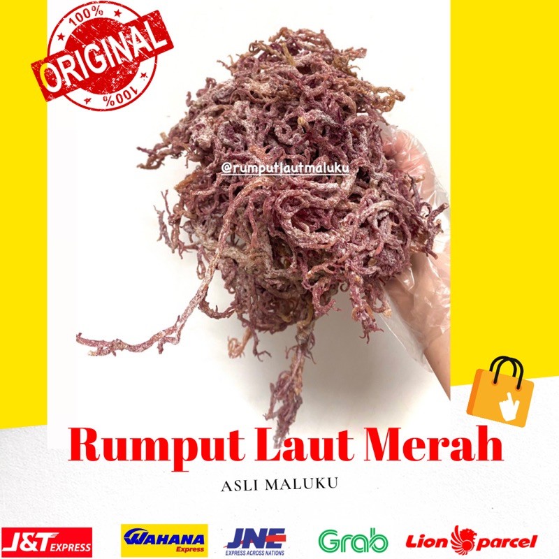 

100 gr RUMPUT LAUT MERAH KERING ( Eucheuma cottonii)