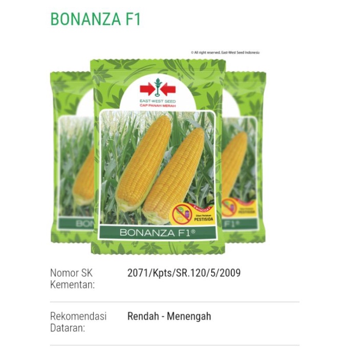 benih jagung manis bonanza f1