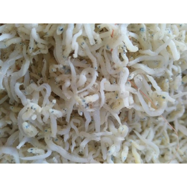 

teri medan teri nasi best quality