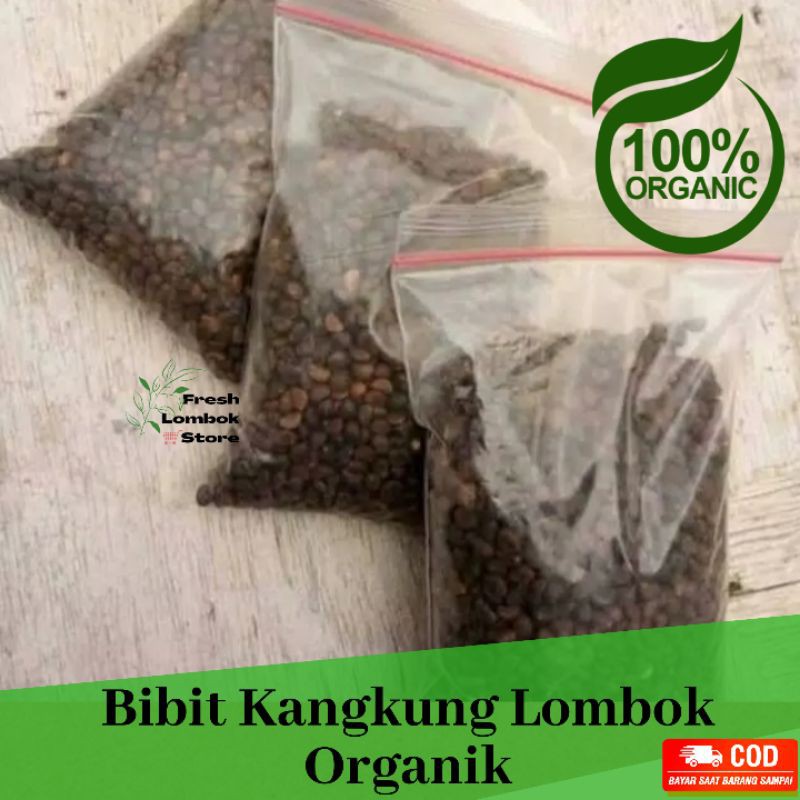 Benih Kangkung Lombok Renyah Organik Segar 100g - Bibit Kangkung Lombok - Benih Kangkung Hidroponik
