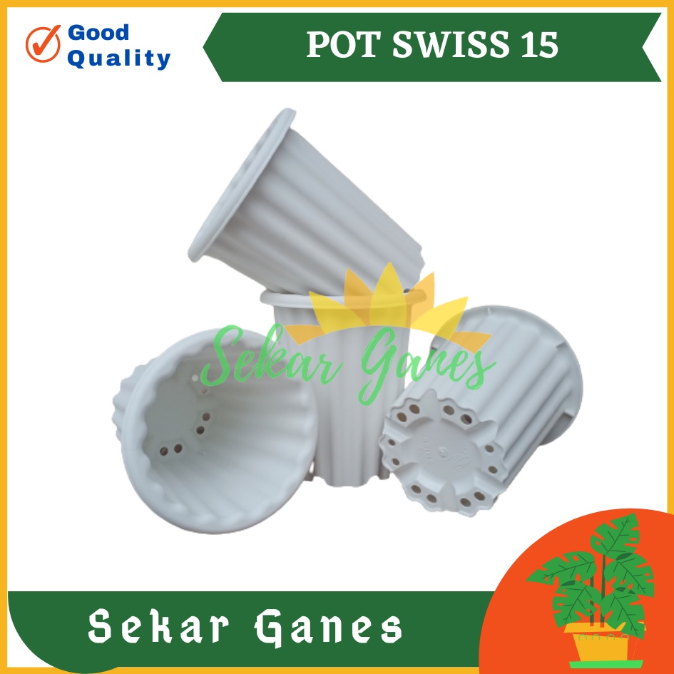 Pot Swiss 15 Putih Pot Yogap 10 13 15 Putih Coklat Merah Bata Bening Transparan Pot Yogap 17 18 19 Pot Yogap Murah Pot Bunga Tinggi Pirus Tegak Bagus Tebal