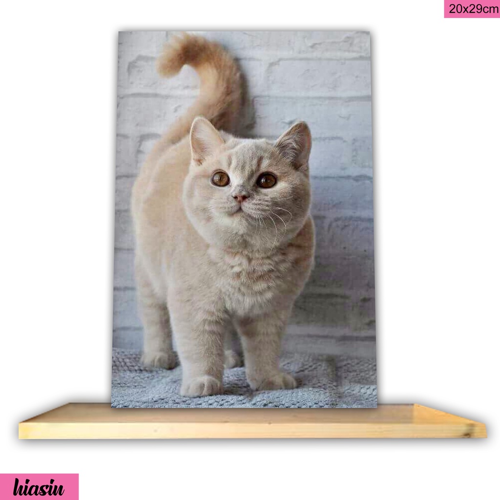 HIASAN DINDING WALL DECOR LUKISAN HEWAN GAMBAR KUCING