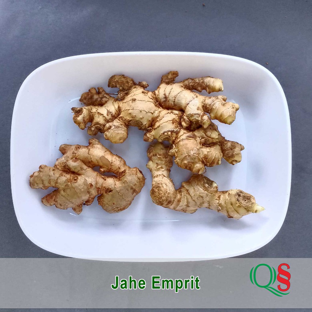 

Jahe Emprit Segar 0.5kg