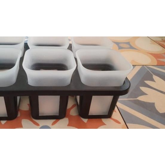 ➲ Paket Tray pot 6 lubang dengan 6 pot nkt bening ۝