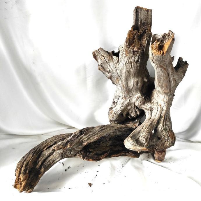 KAYU AQUASCAPE / KAYU SANTIGI SIZE XL / AKAR SANTIGI / SANTIGI WOOD