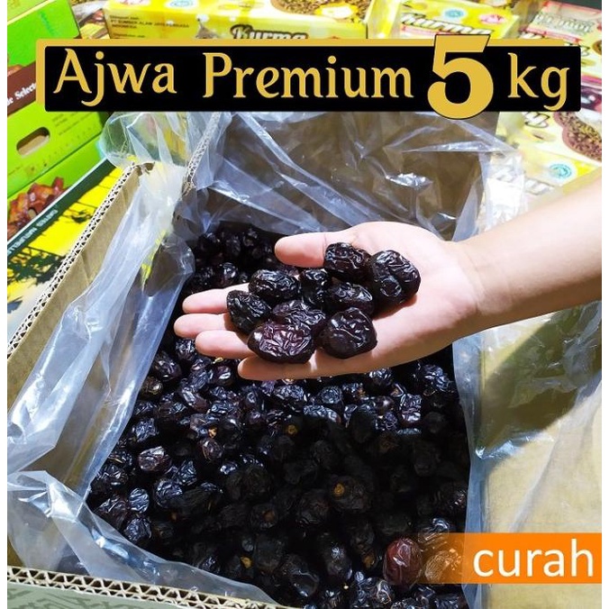 

TERBARU KURMA AJWA 5KG ASLI ALIYAH MADINAH PREMIUM MURAH FRESH OLEH HAJI/KURMA 1KG/KURMA BARARI/KURMA RUTHOB/KURMA BAM/KURMA PALM FRUIT/KURMA TANGKAI/KURMA AZWA/KURMA SUKKARI/KURMA SAFAWI/KURMA TUNISIA/KURMA MUDA KUNING/KURMA MUDA HIJAU/KURMA MEDJOL/KURMA