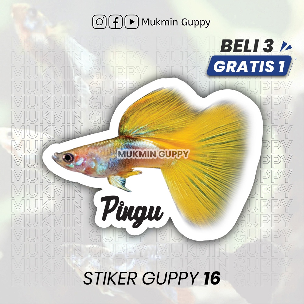 

Stiker Guppy (16) Pingu
