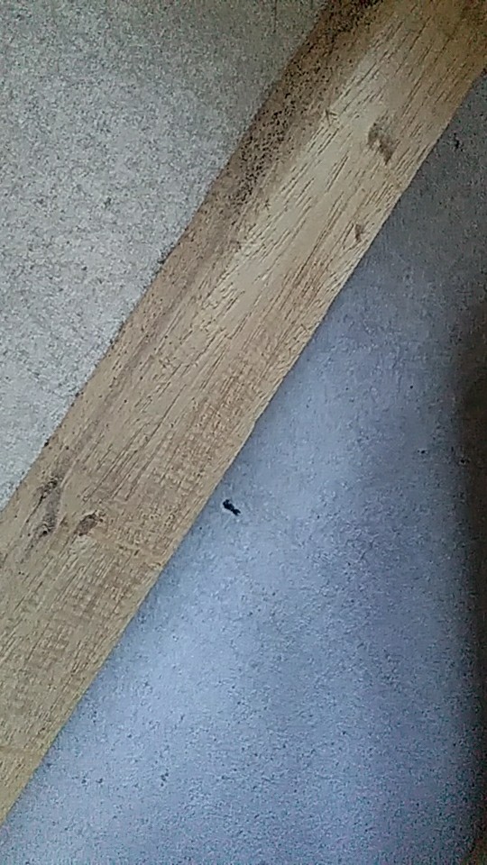 Cetak Foto Free Request Frame (proses Cepat , Bonus Melimpah)