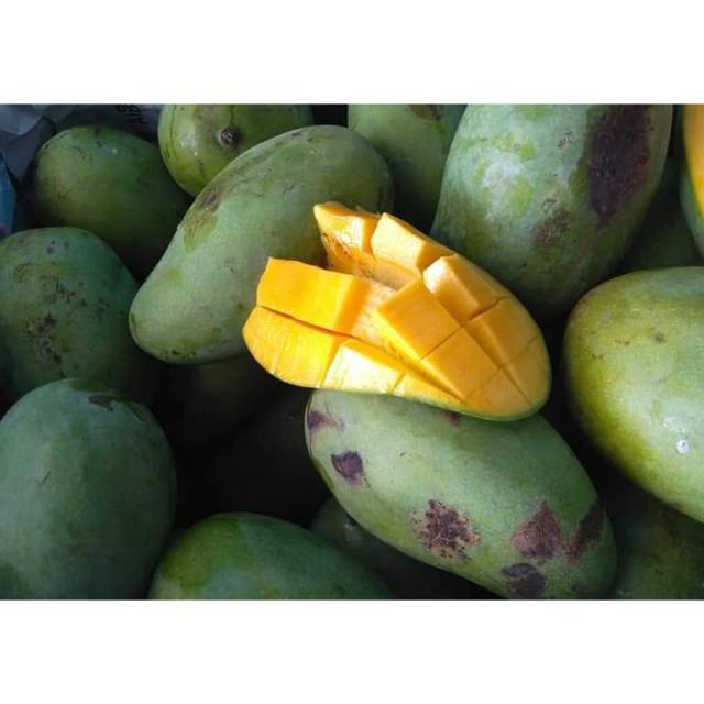 

Buah Mangga Harum Manis per 1kg
