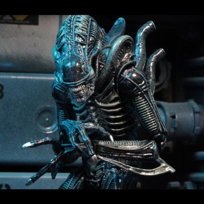 Figure | Neca Aliens Xenomorph Warrior Alien Black Sequel Xenomorph Figure