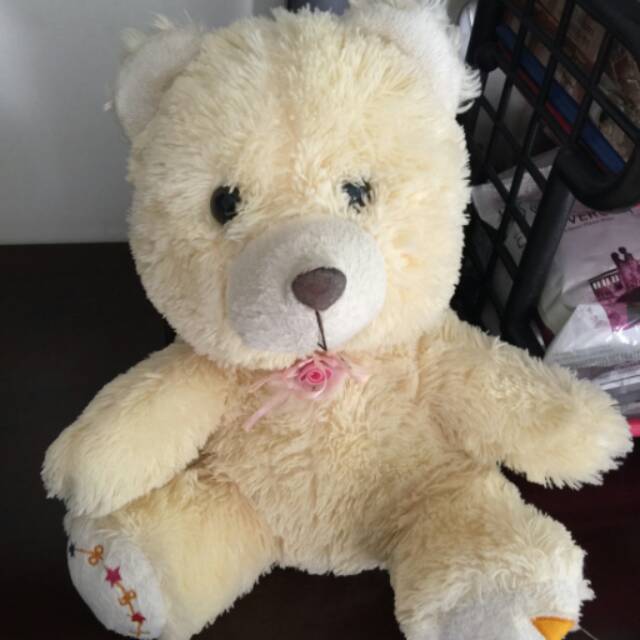 Boneka beruang (Bear)