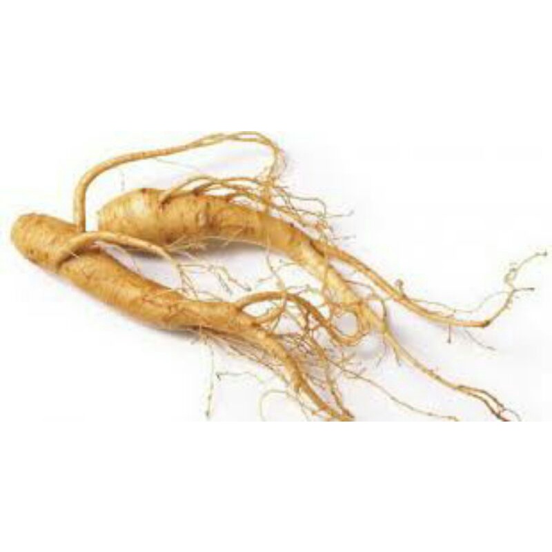 

Ginseng merah korea