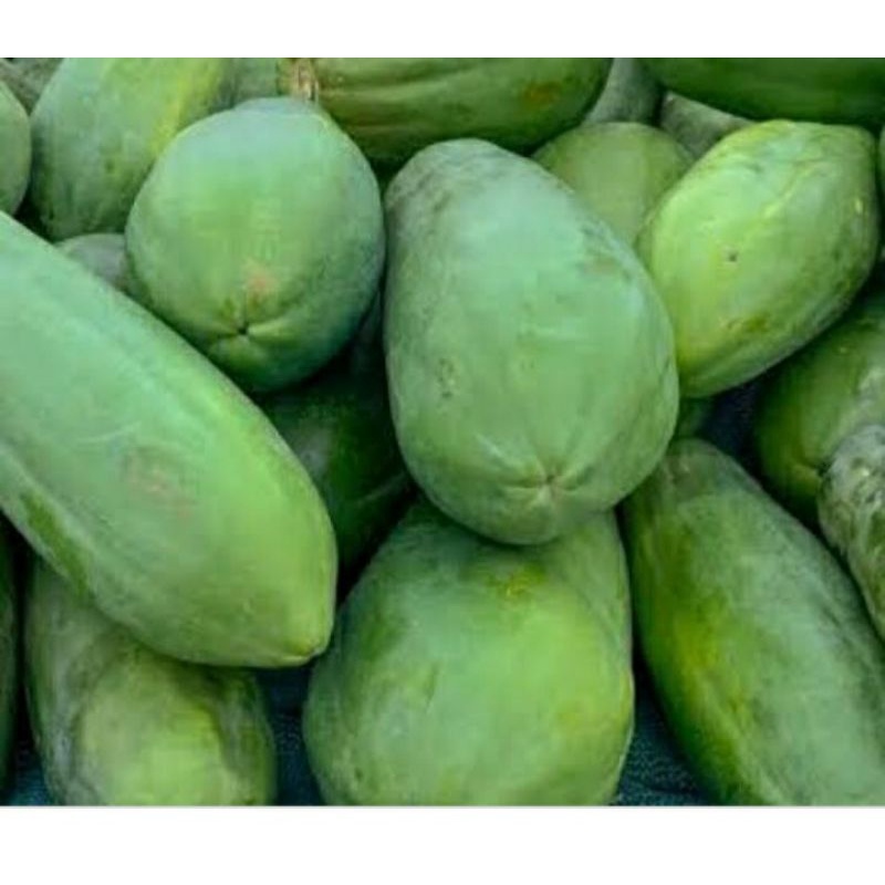

pepaya muda