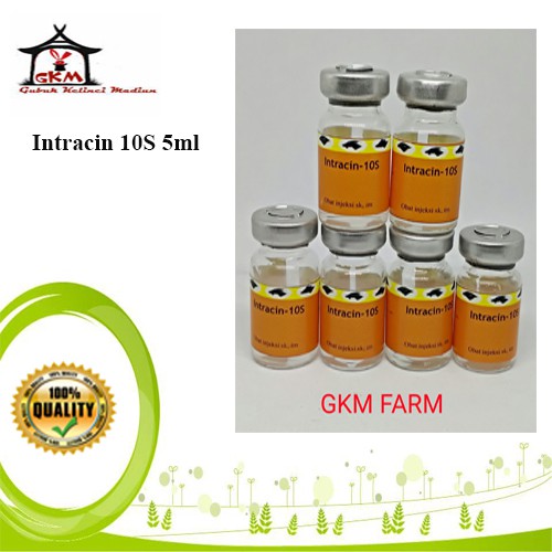 Intracin 5ml