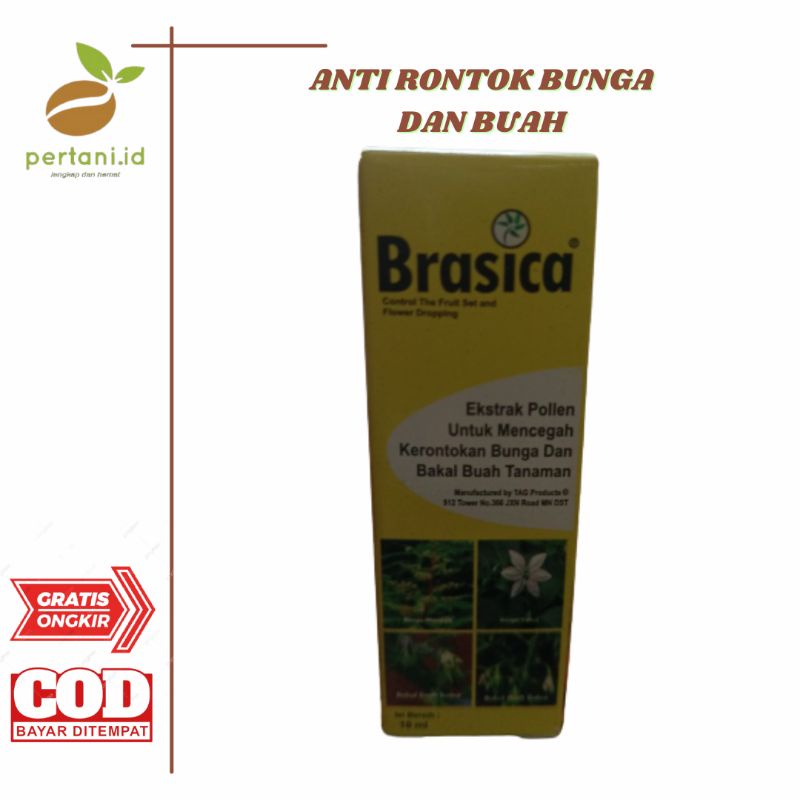 BRASICA - ANTI RONTOK BUNGA DAN BAKAL BUAH
