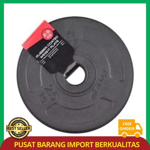 Berwyn Plat Besi Barbel 2.5 Kg