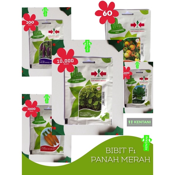 Bibit F1 Sayuran (Panah Merah)