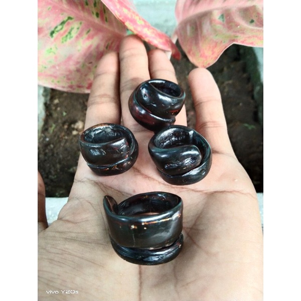 FINCIN AKAR BAHAR MERAH BODY HITAM JUMBO TEMBUS CAHAYA