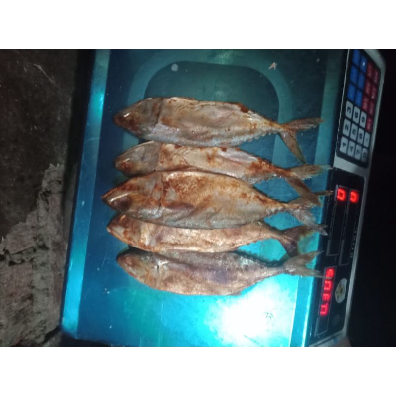 

ikan asin (peda merah /peda beureum) per250gr