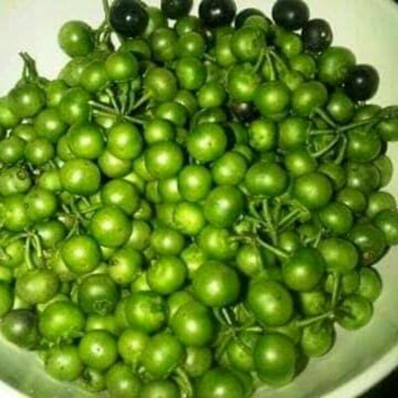 

leunca ranti 250 gram