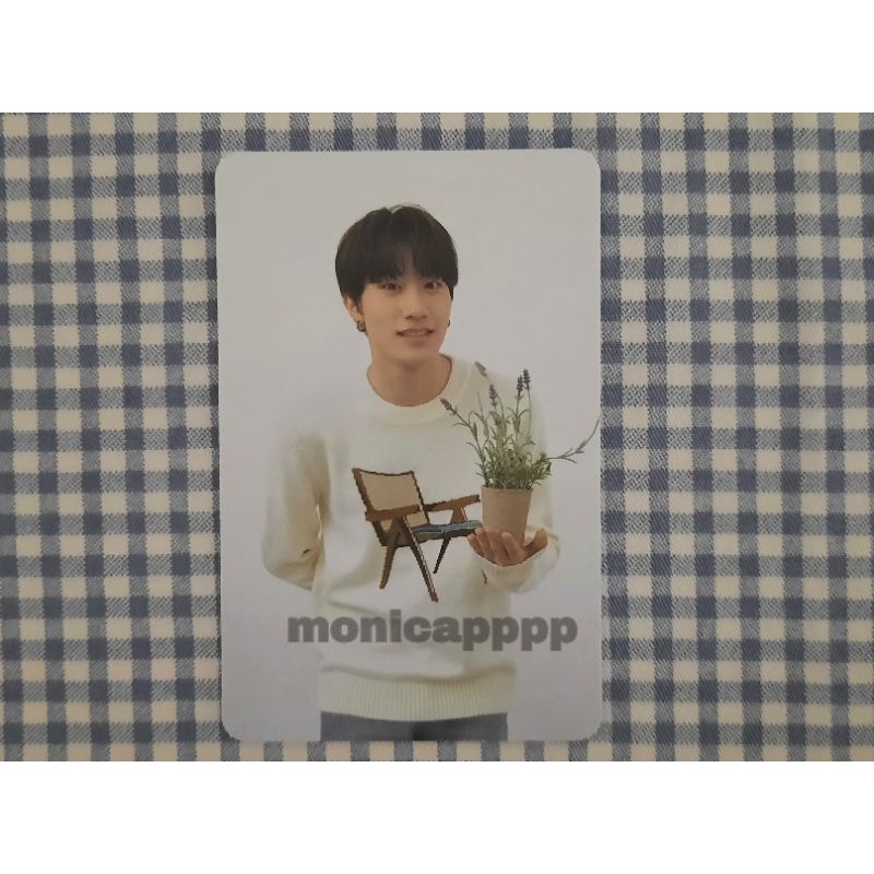 PC TREASURE / PC YEDAM