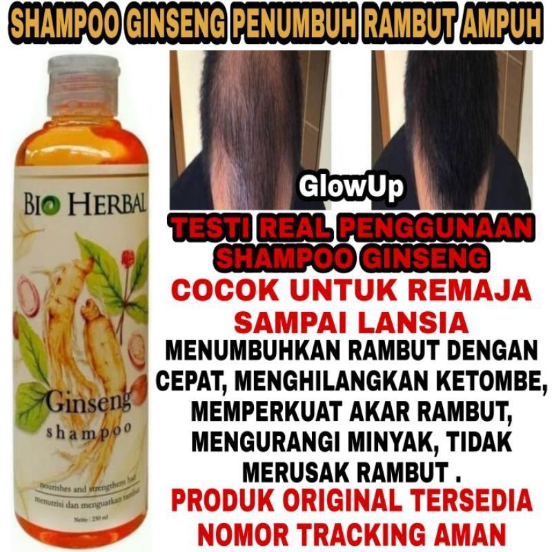 BIO HERBAL GINSENG SHAMPOO ORGINAL BPOM - SHAMPOO GINGSENG BIO HERBAL