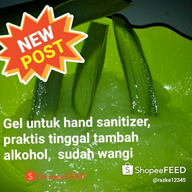 Aloe vera gel untuk hand sanitizer