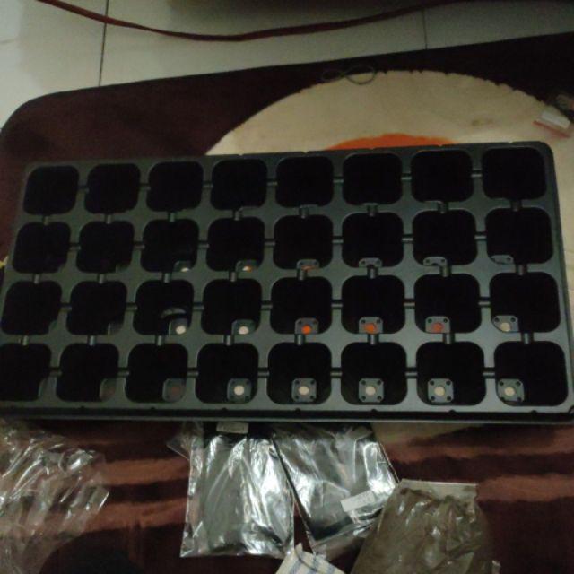 Tray Semai 32 Lubang