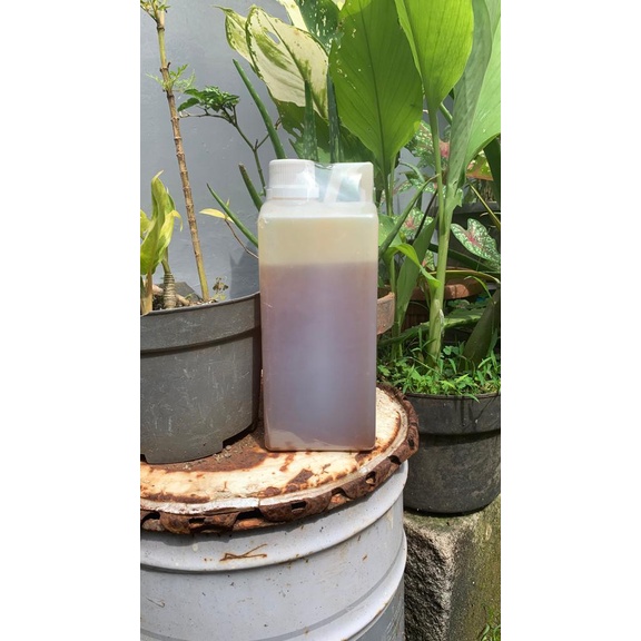 

Madu sonokeling isi bersih 1kg