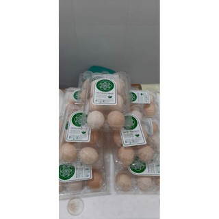 Jual Telur Ayam Kampung Organik Isi Pack Premium Egg Bestseller Jamin Asli Enak Berkualitas