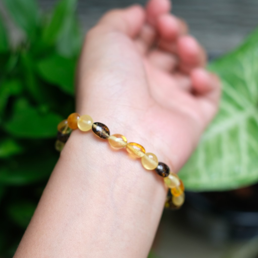 Gelang Amber Baltic Multicolor Beans [Dewasa]